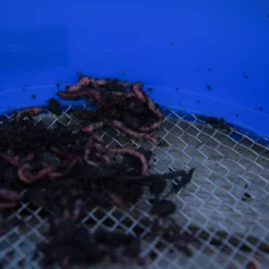 Cresta Supa Riddle Square Mesh -Aanbevolen Winkels Voor Visbenodigdheden Cresta Supa Riddle Square Mesh4