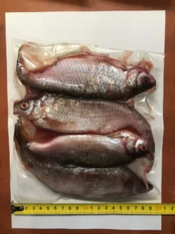 Grote Voorns 4 Stuks