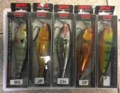 Rapala Super Shad Rap SSR-14 Floating 8 Rapala Super Shad Rap SSR-14 Floating -Aanbevolen Winkels Voor Visbenodigdheden Rapala SSR 14 3 e1479478042120