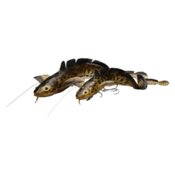 Savage Gear 3D Line Thru Burbot 36cm