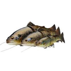 Savage Gear 4D Line Thru Trout