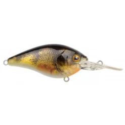 Spro Ikiru Crank Long Lip 60mm 14g -Aanbevolen Winkels Voor Visbenodigdheden Spro Ikiru Crank Long Lip 60mm 14g Perch