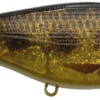 Strike Pro Buster Swimbait