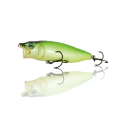 Suxxes Gecko Big Popp 80