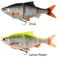 Aanbevolen Winkels Voor Visbenodigdheden -Aanbevolen Winkels Voor Visbenodigdheden nieuwstetweekleuren4dlinethruroach 1