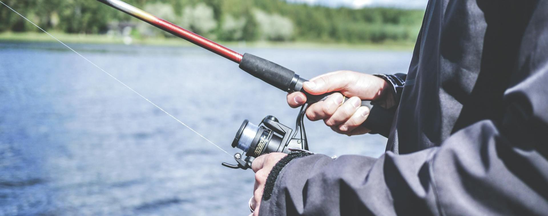 Aanbevolen Winkels Voor Visbenodigdheden -Aanbevolen Winkels Voor Visbenodigdheden pexels lum3n 44775 294674