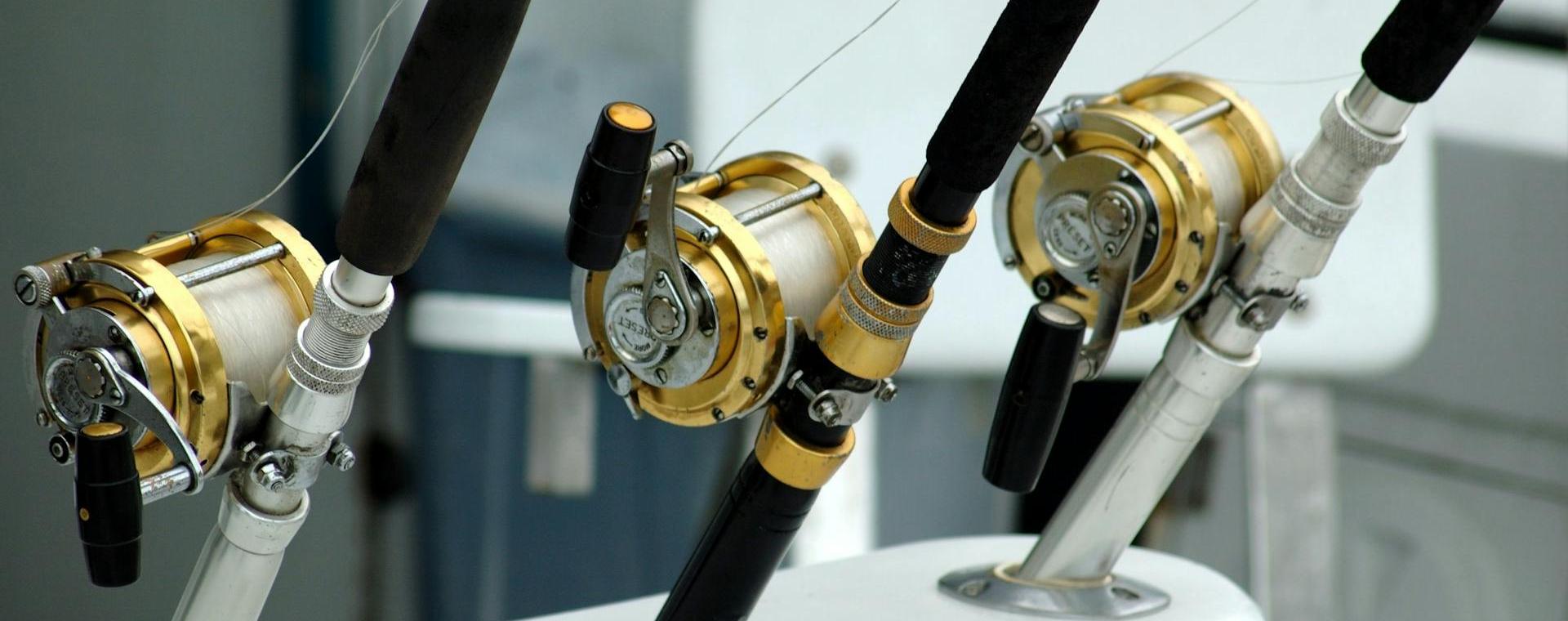 Aanbevolen Winkels Voor Visbenodigdheden -Aanbevolen Winkels Voor Visbenodigdheden pexels pixabay 209810